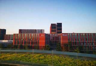 虹口区本地标气哪家好